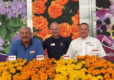 Marco Laan, Rene Knijn, and Joe Messer of Hem Genetics. They are excited about their Chica series. "This series is very uniform. And most importantly; there is seed available!"